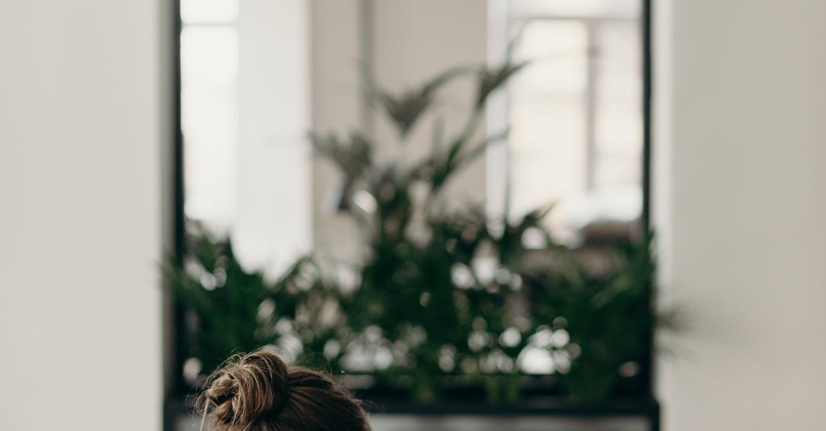 Essential Tools for Your DIY Laptop Screen Repair in Sydney